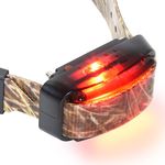 Professional Dogtrace