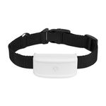 Бесплатный веб-мониторинг