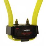 Elektrooniline dresseerimise kaelarihm Canicom